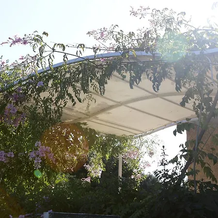 Marina Di A Testa Resort *