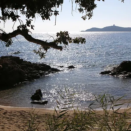 Marina Di A Testa *