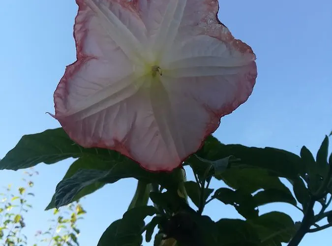 Station touristique Marina Di A Testa *